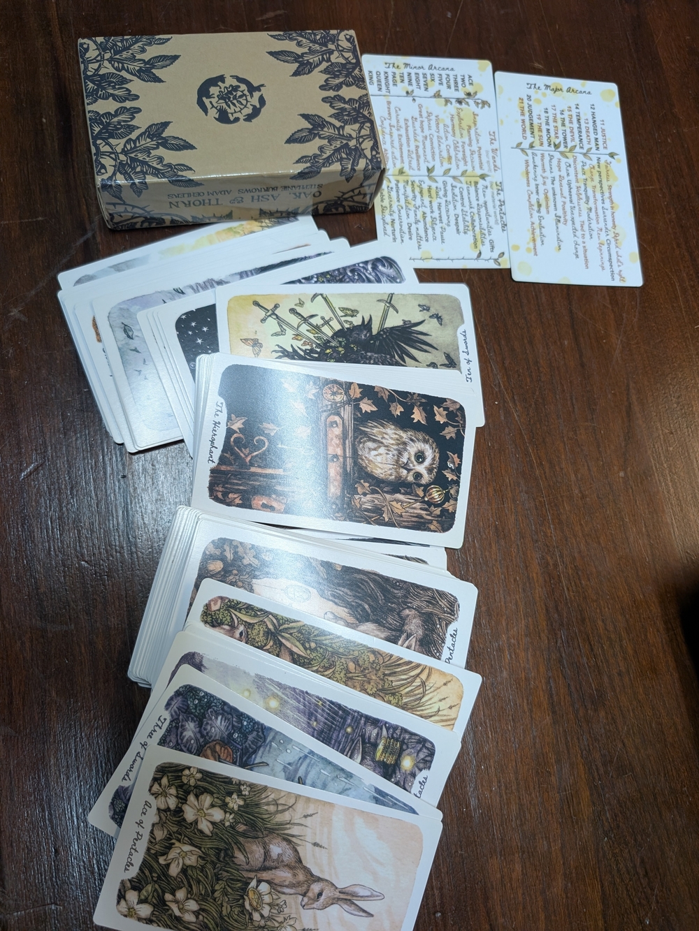 Nature Illustration Tarot Deck